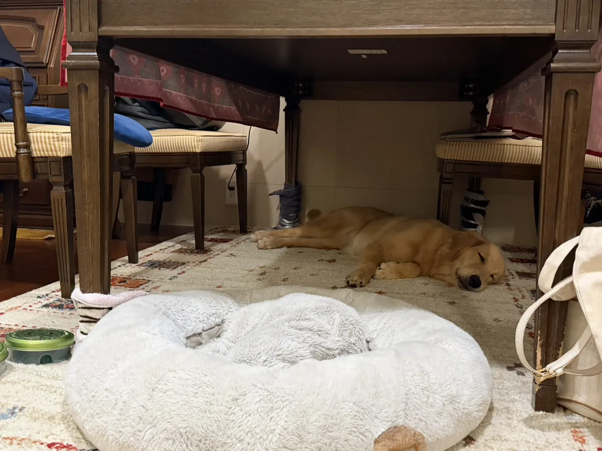 さくら病院にいく